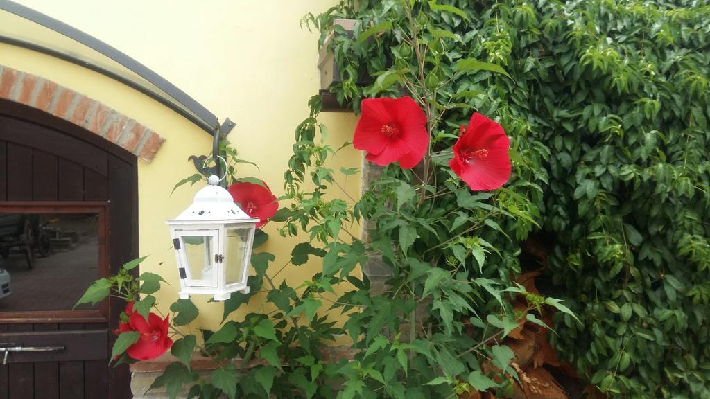 Cascina Bricco Apartment Ovada Ruang foto